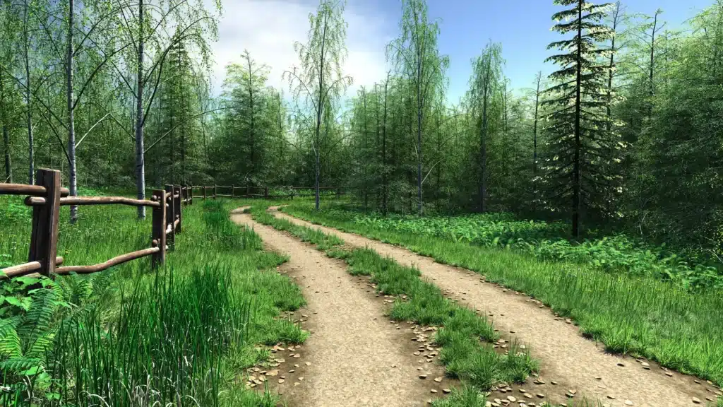 Cleared forest access path surrounded by trees